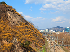 鹰峰山