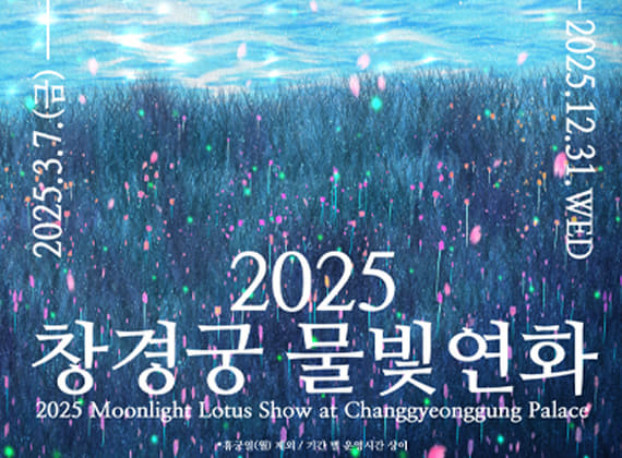 2025昌庆宫水光荷花