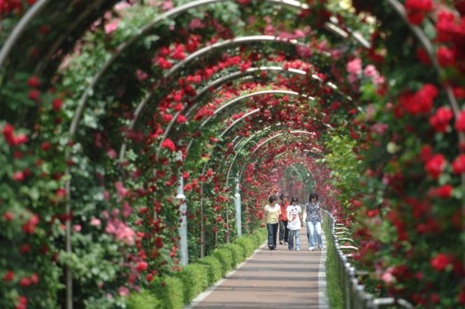 首尔春花路140选