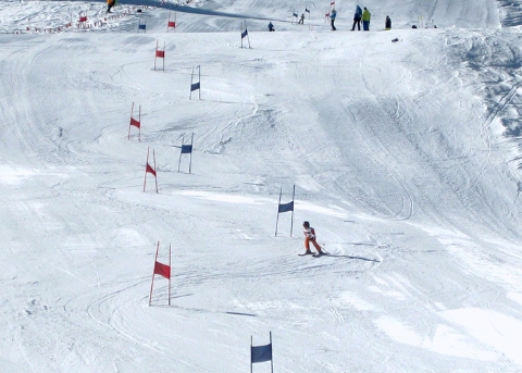 平昌冬季奥林匹克运动会