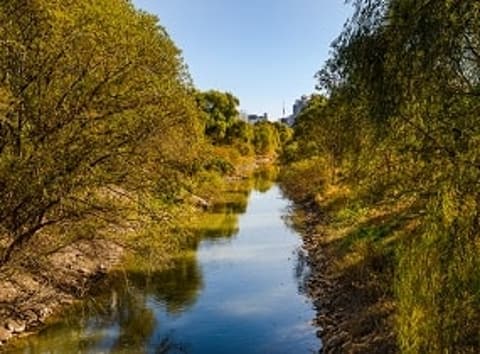 汝矣岛汉江汊流生态公园