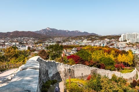 【家族路线】骆山城郭